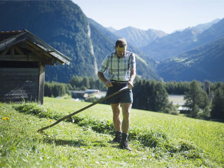 Ein Mann in kariertem Hemd und kurzen Hosen mäht mit einer traditionellen Sense das Gras auf einem abschüssigen Feld. In der Nähe befindet sich ein rustikaler Holzschuppen und im Hintergrund erheben sich Berge unter einem klaren blauen Himmel.