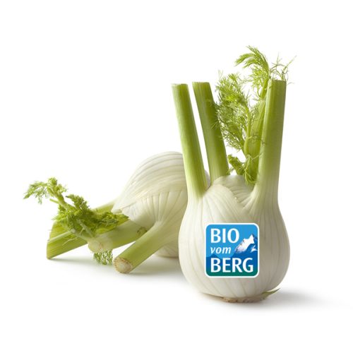 Vegetables: Fennel Isolated on White Background