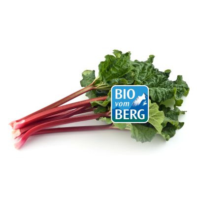 Red stems and green leaves of Rhubarb on a white surface